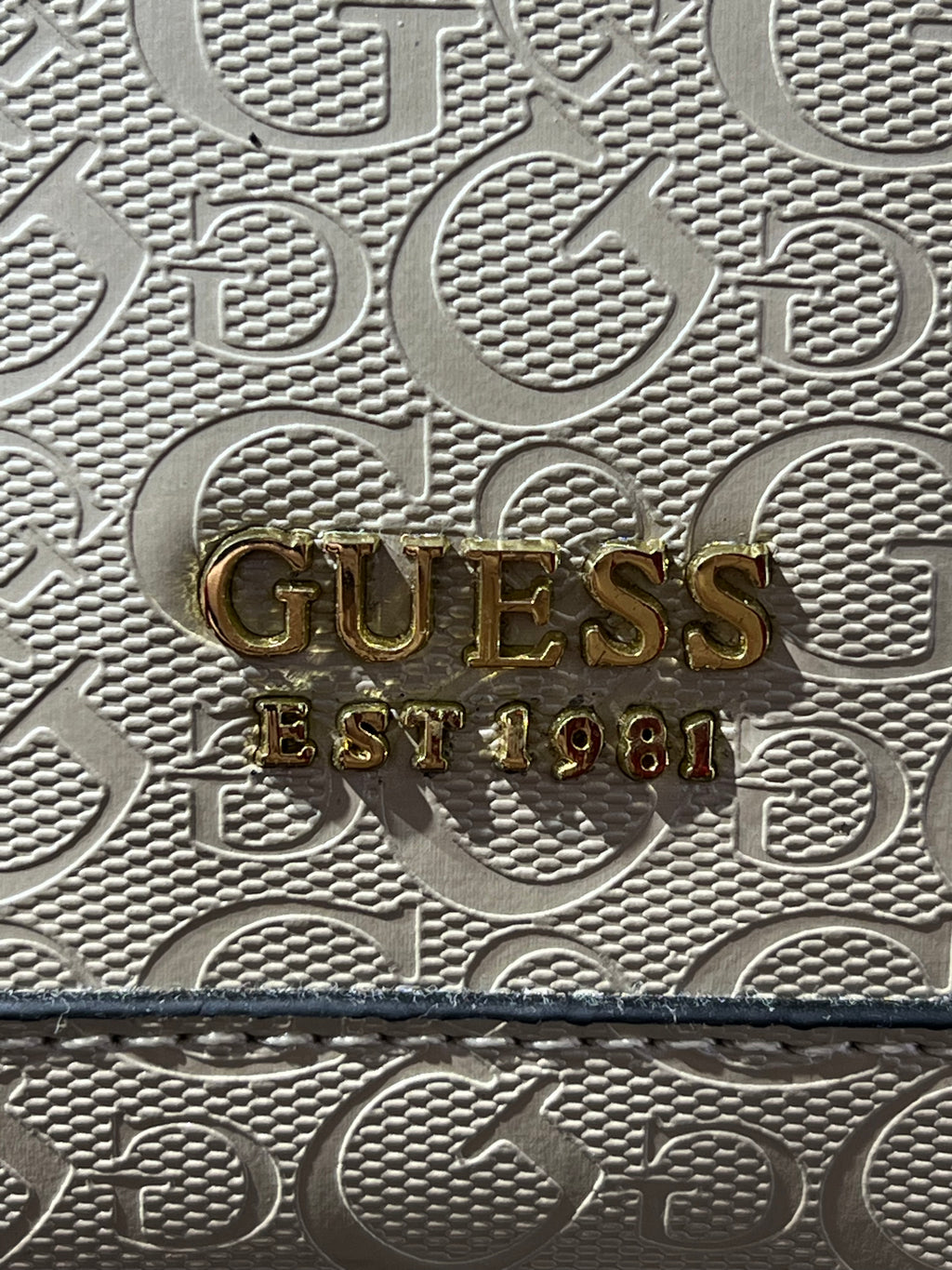 Guess Bag