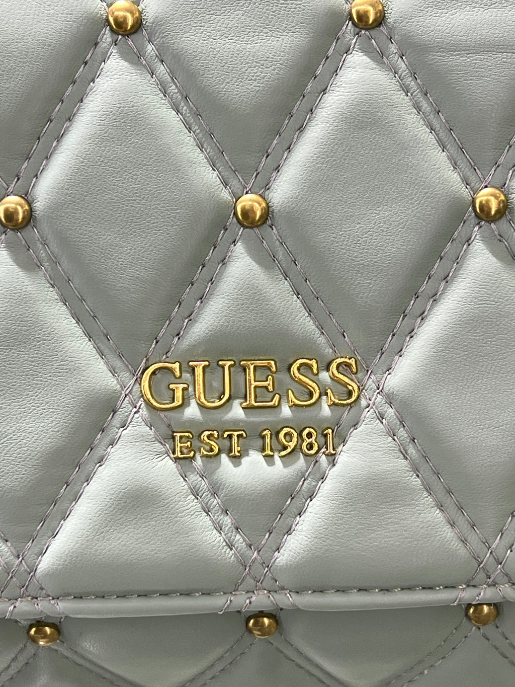 Guess Bag